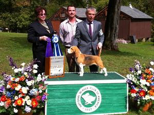 Eardley Barb Dwyer winning her Major in America