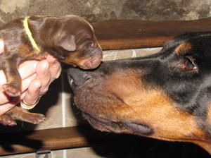 Elenya with one of her Boys.