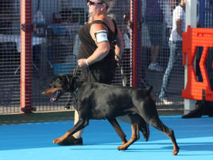 On the move to becoming Gibraltar Champion 2011