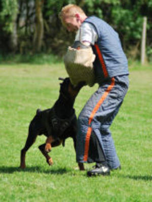Cid passing his ZTP test in Germany 2011