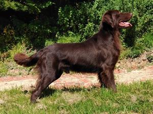 Ernie 2 year old
