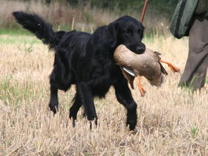 Duncan at Walesby