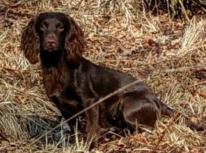 Kizzy in Bracken