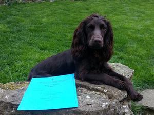 Sweet Pea with Working Test certificate