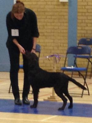 Patricia with Ernie - first show