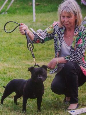 Powerpack Morgan Le Fay at Leeds Ch Showds CH