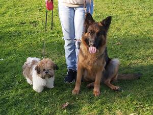 She is great with our family little dog and kids