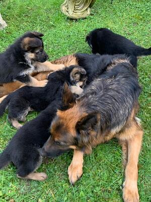 Garden play time