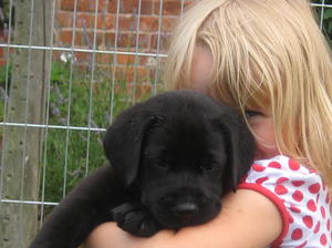 JACKS PUPPY