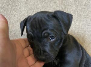 Cute or what!