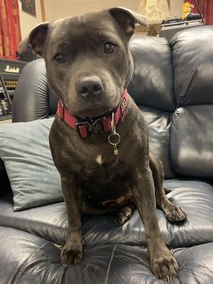 Ellie being patient