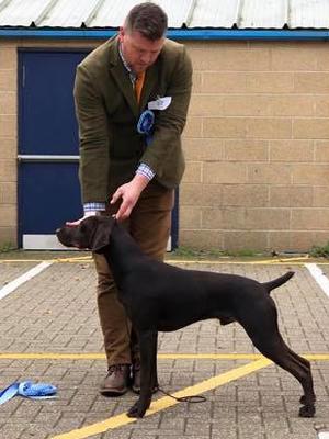 Woody at 10 months BPIS