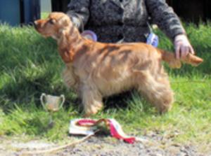 Wilma at 8 months winning RBPIS