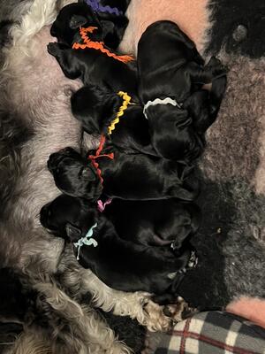 At the milk bar