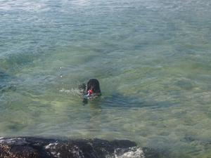 I am the best swimmer in KLB