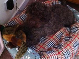 I am so cute with my stuffed duck.