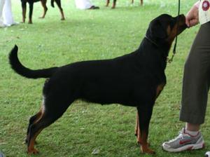 Peggie 9 Month