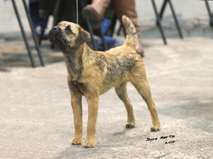 Marlon 8mths