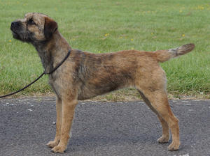 Phyllis 10MTHS