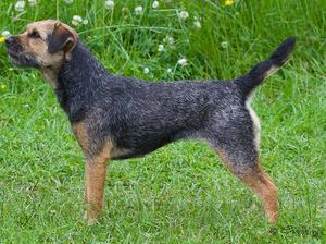 PUZZLE ALMOST 9MTHS