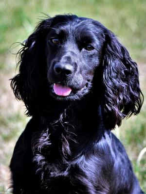 Inky 14mths
