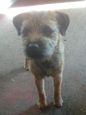 Phyllis 6mths
