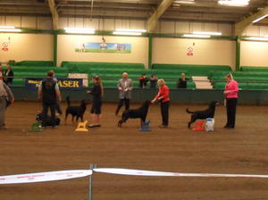 Harley 2nd in Post Grad