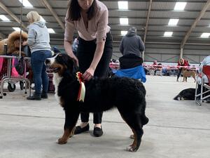 Winning best puppy in breed at Open Show