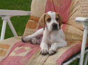 SUNBATHING AT 9 WEEKS