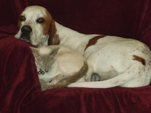 Best Friends
