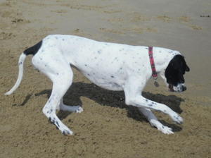 Fun on the beach