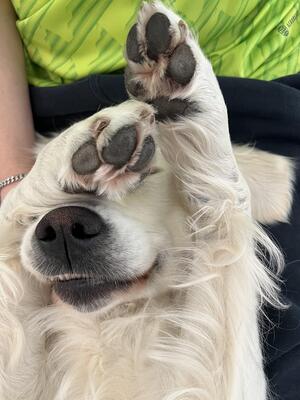 Goofy Rosie