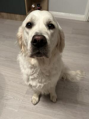 Our Rosie