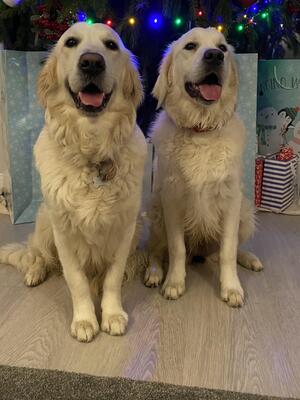 Mum Willow and Rosie