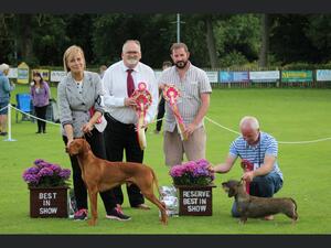Winning Res BIS at Scarborough CS Open Show ‘23