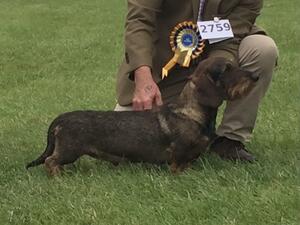 'Enry winning CC & BOB Leeds ‘21