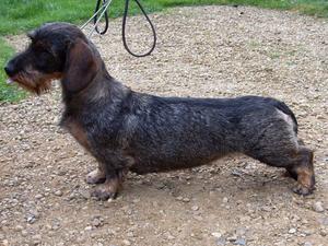 Mabel, at 16 months,