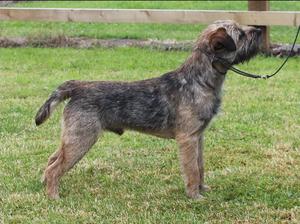 Fred at 11months