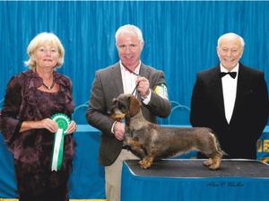 Olive winning Group 4 at Driffield