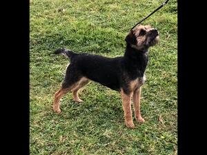Cora at 15 months