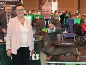 Obi, CC & BOS Crufts '16