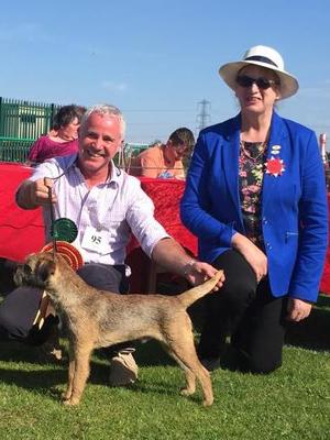 CC & BIS Midland BTC Champ. Show