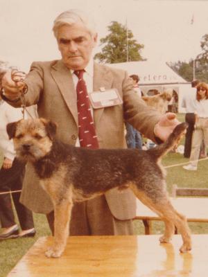 Flash, as a youngster, handled by Ted Hutchinson.