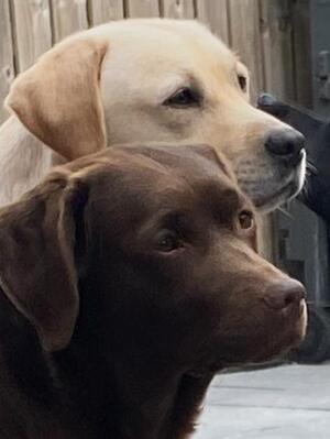 Marvel and Eadie