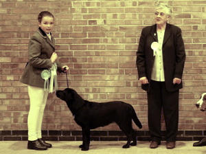 Best Puppy in Show Presentation