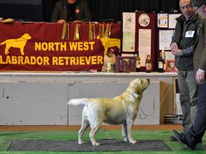 Hilda at NWLRC Limit 2017