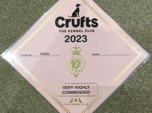 Wilma's VHC Certificate