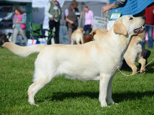 Hilda at Driffield