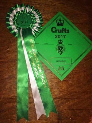 Crufts 2017