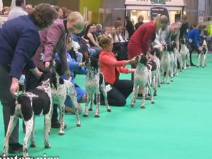 Crufts